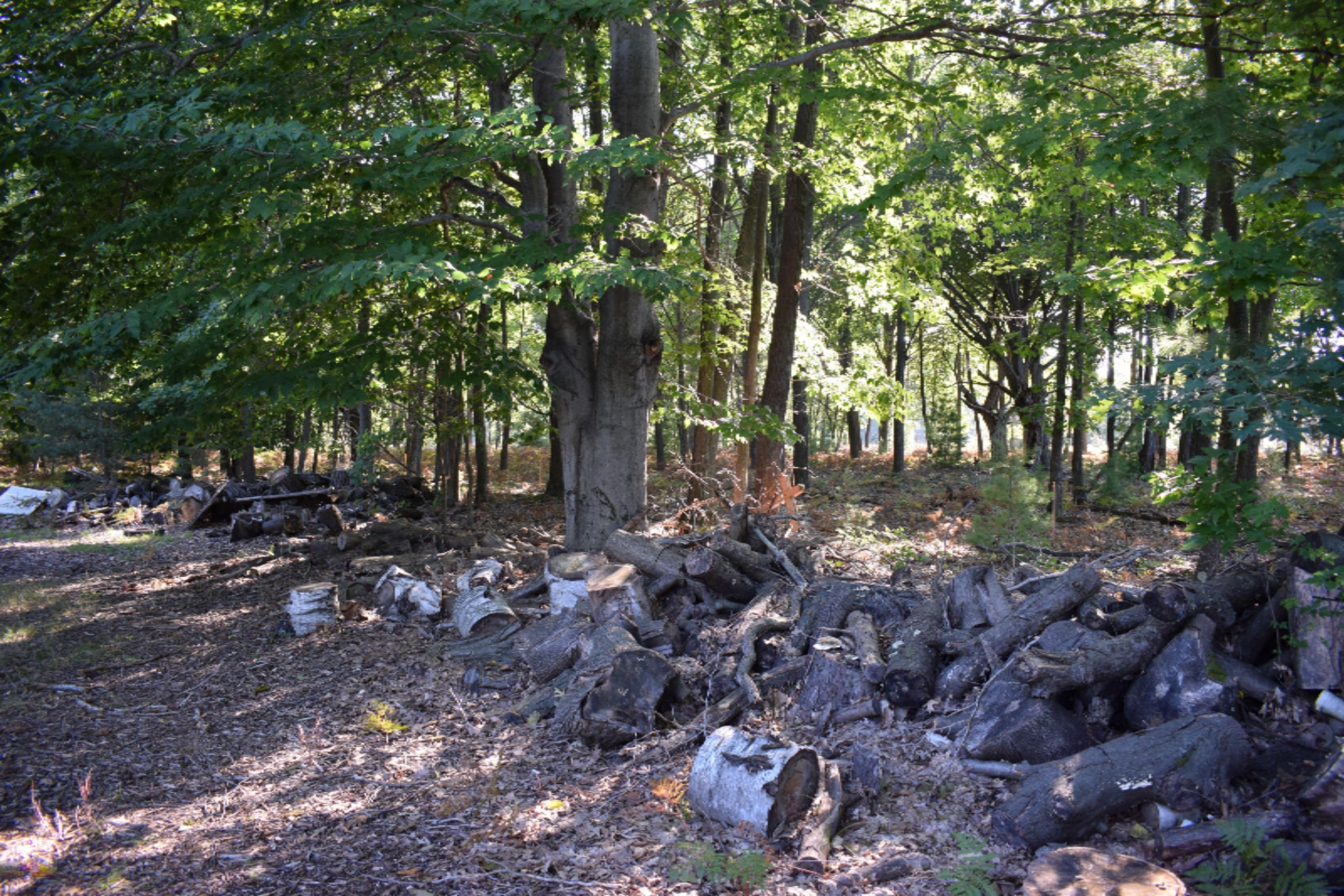2995 South County Line Road Manistee, MI 49660 - Photo 3 of 9 DSC_0023