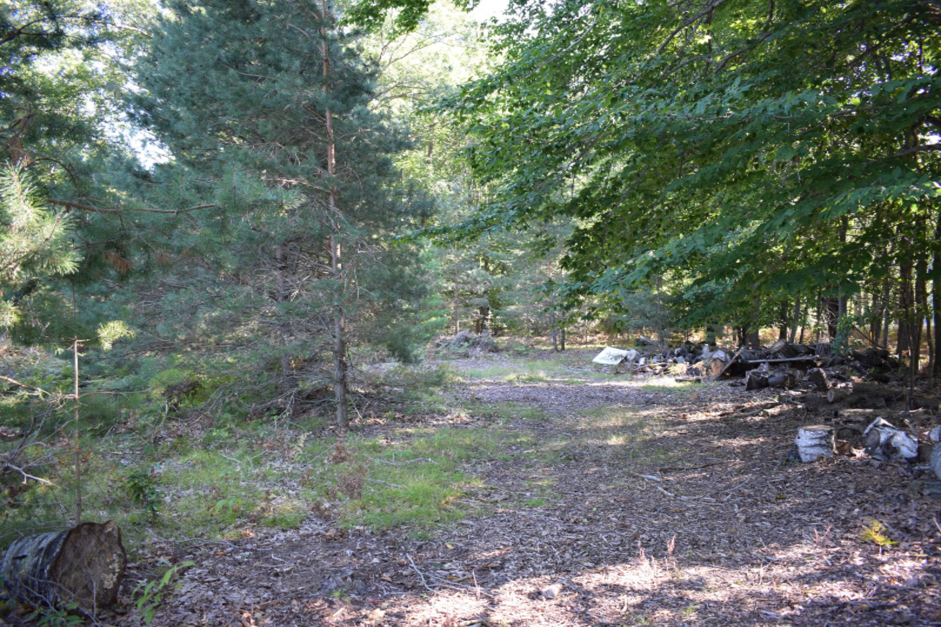 2995 South County Line Road Manistee, MI 49660 - Photo 4 of 9 DSC_0024