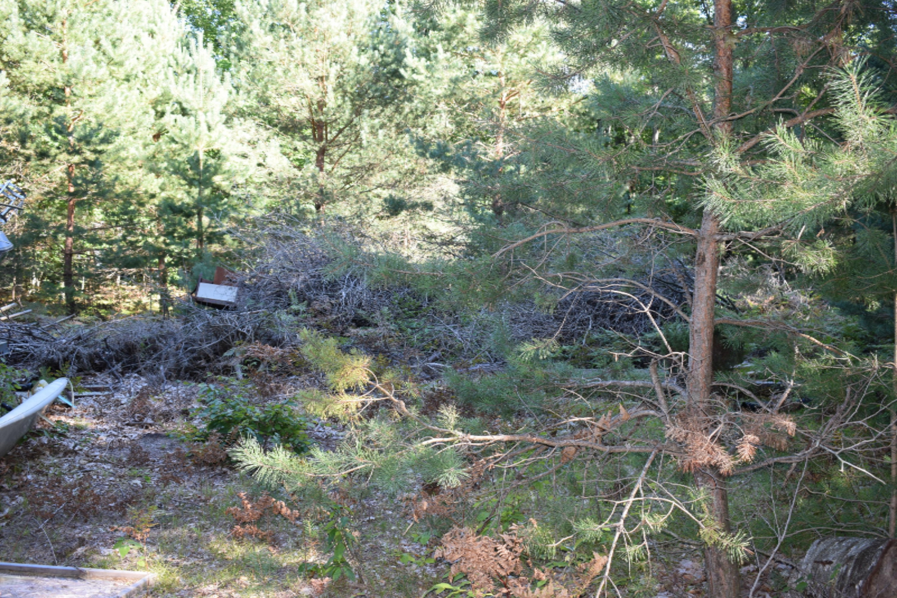 2995 South County Line Road Manistee, MI 49660 - Photo 5 of 9 DSC_0025