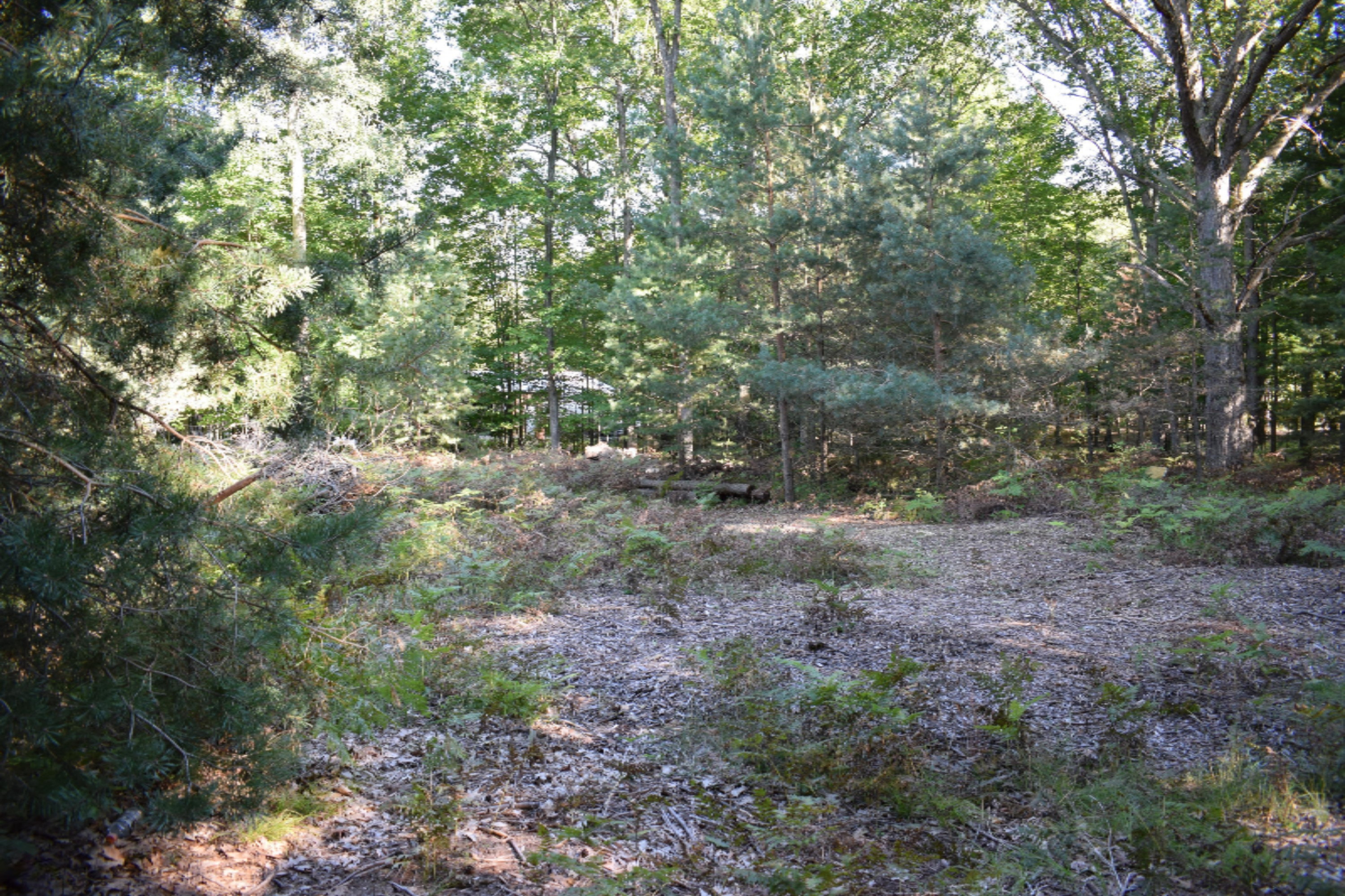 2995 South County Line Road Manistee, MI 49660 - Photo 6 of 9 DSC_0026