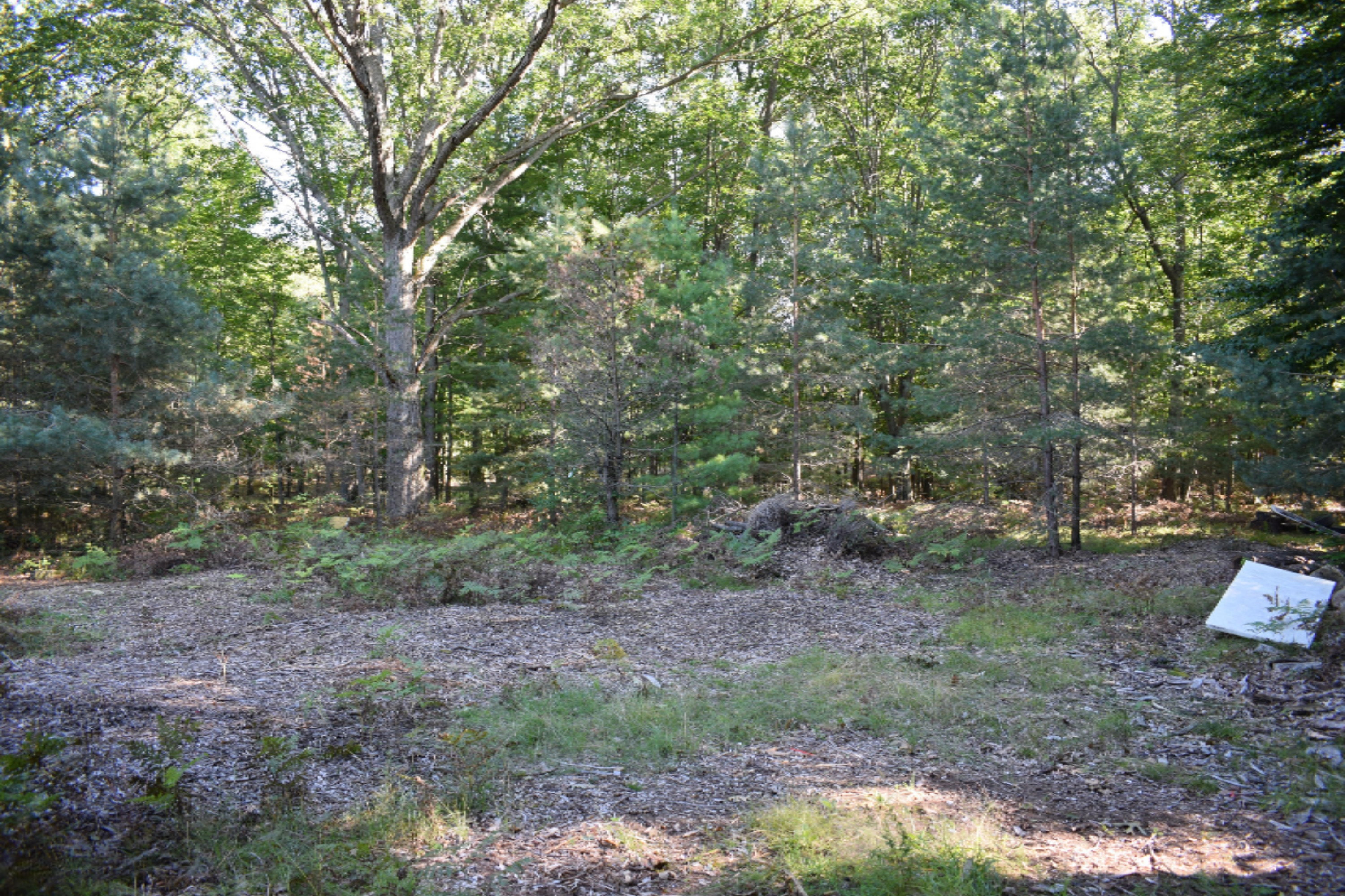 2995 South County Line Road Manistee, MI 49660 - Photo 7 of 9 DSC_0027