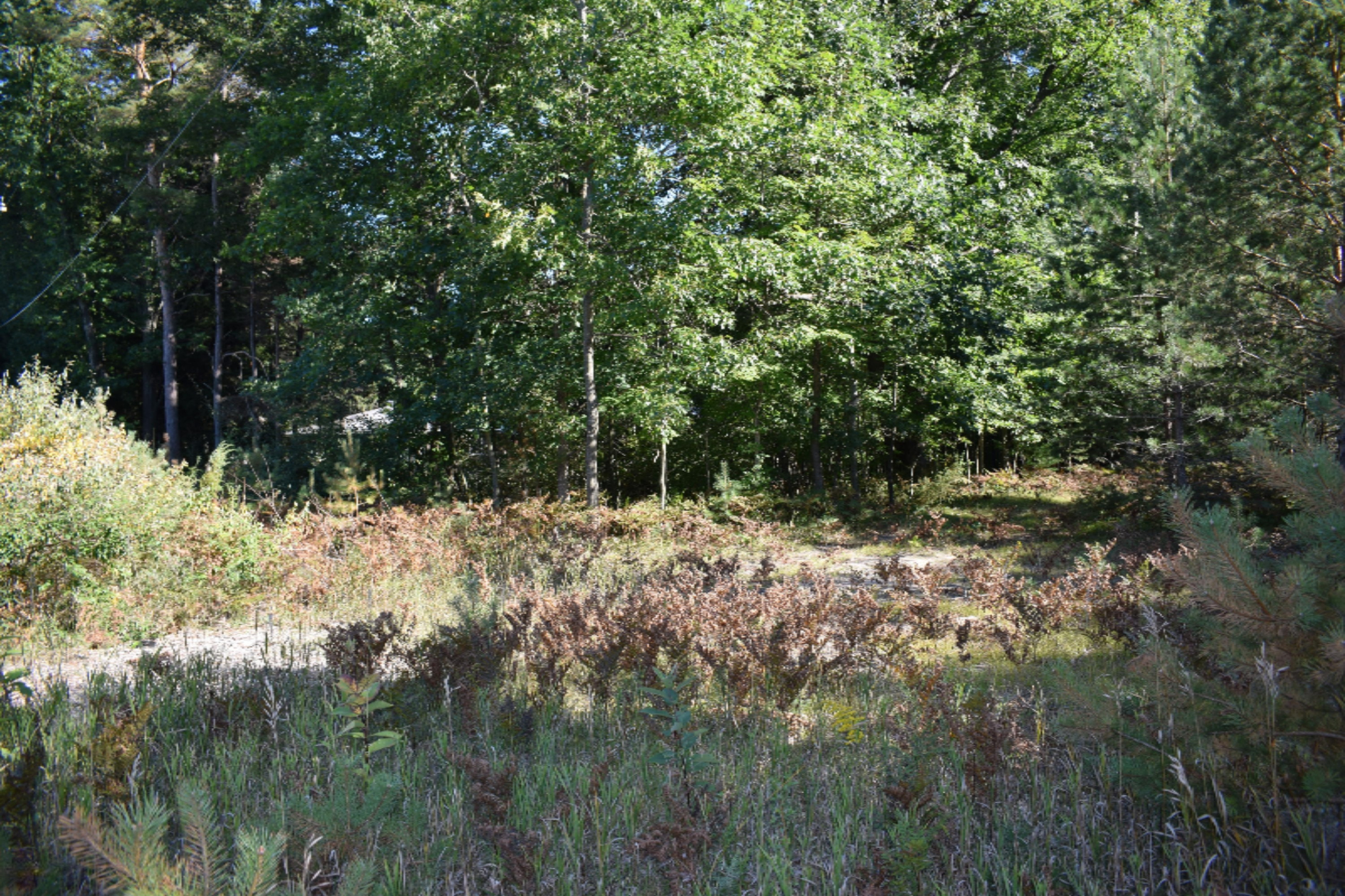 2995 South County Line Road Manistee, MI 49660 - Photo 8 of 9 DSC_0028