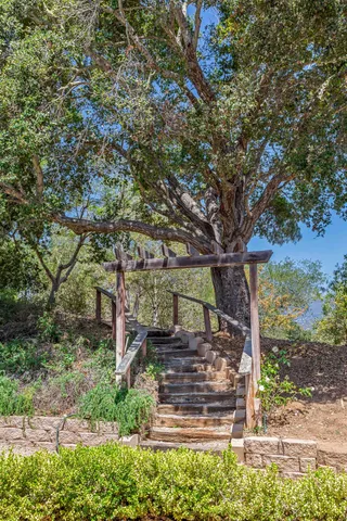 a front view of a house with a tree