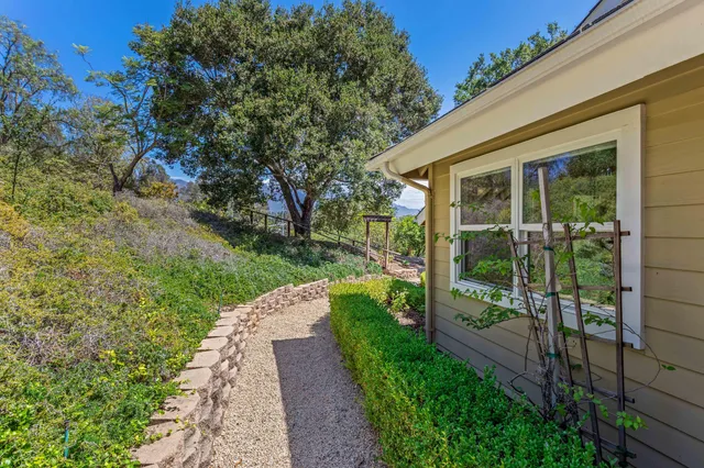 a view of a garden with pathway