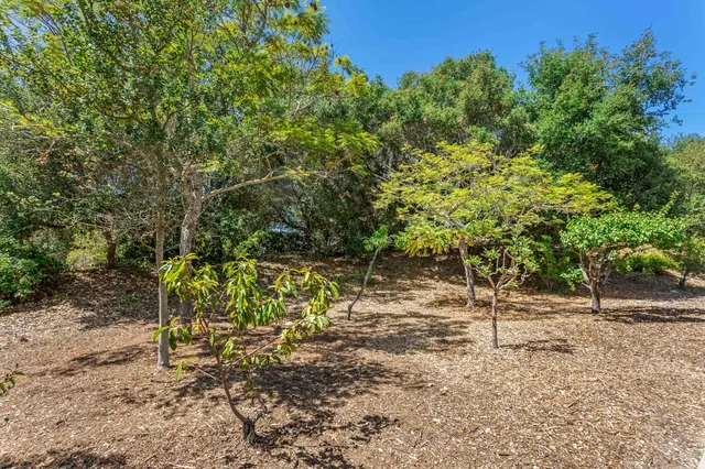 a view of backyard with green space
