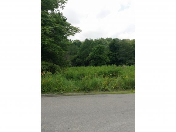 0 Fisher Road Williamson, NY 14589 - Photo 1 of 1 Gallery Image 1