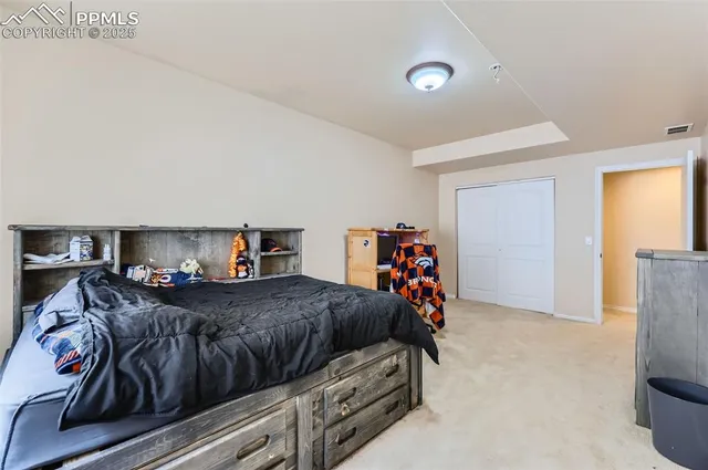 a bedroom with a bed and a closet