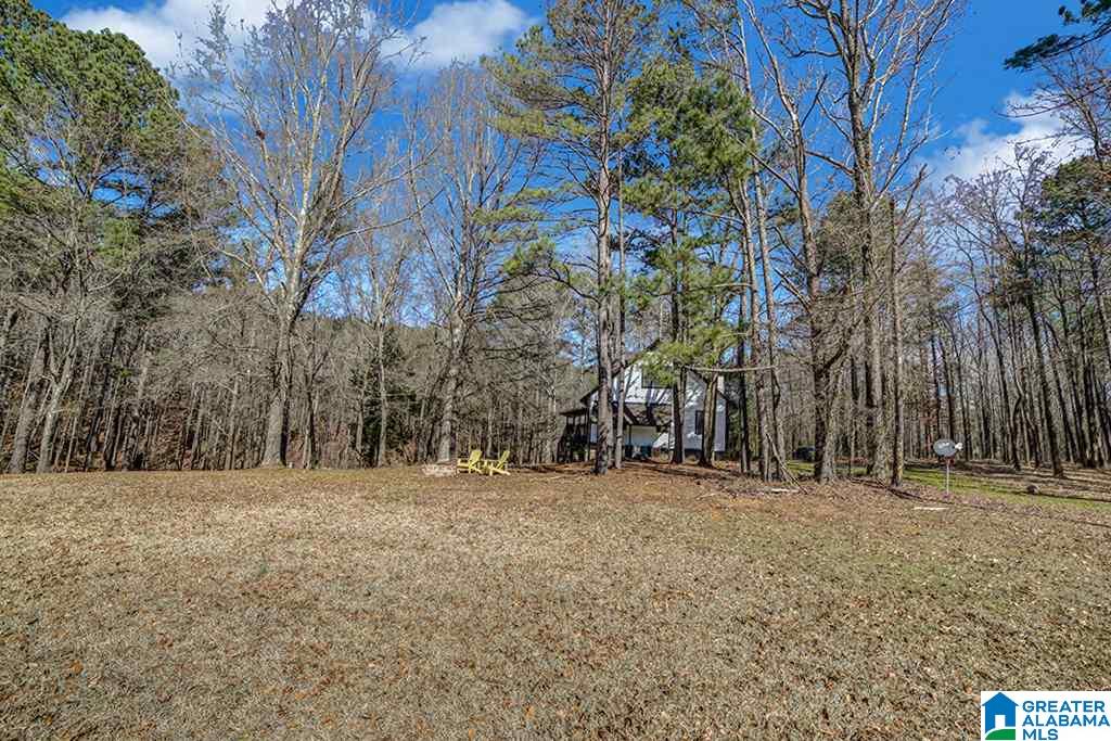 7471 Rodgers Road Southwest Leeds, AL 35094 - Photo 25 of 29