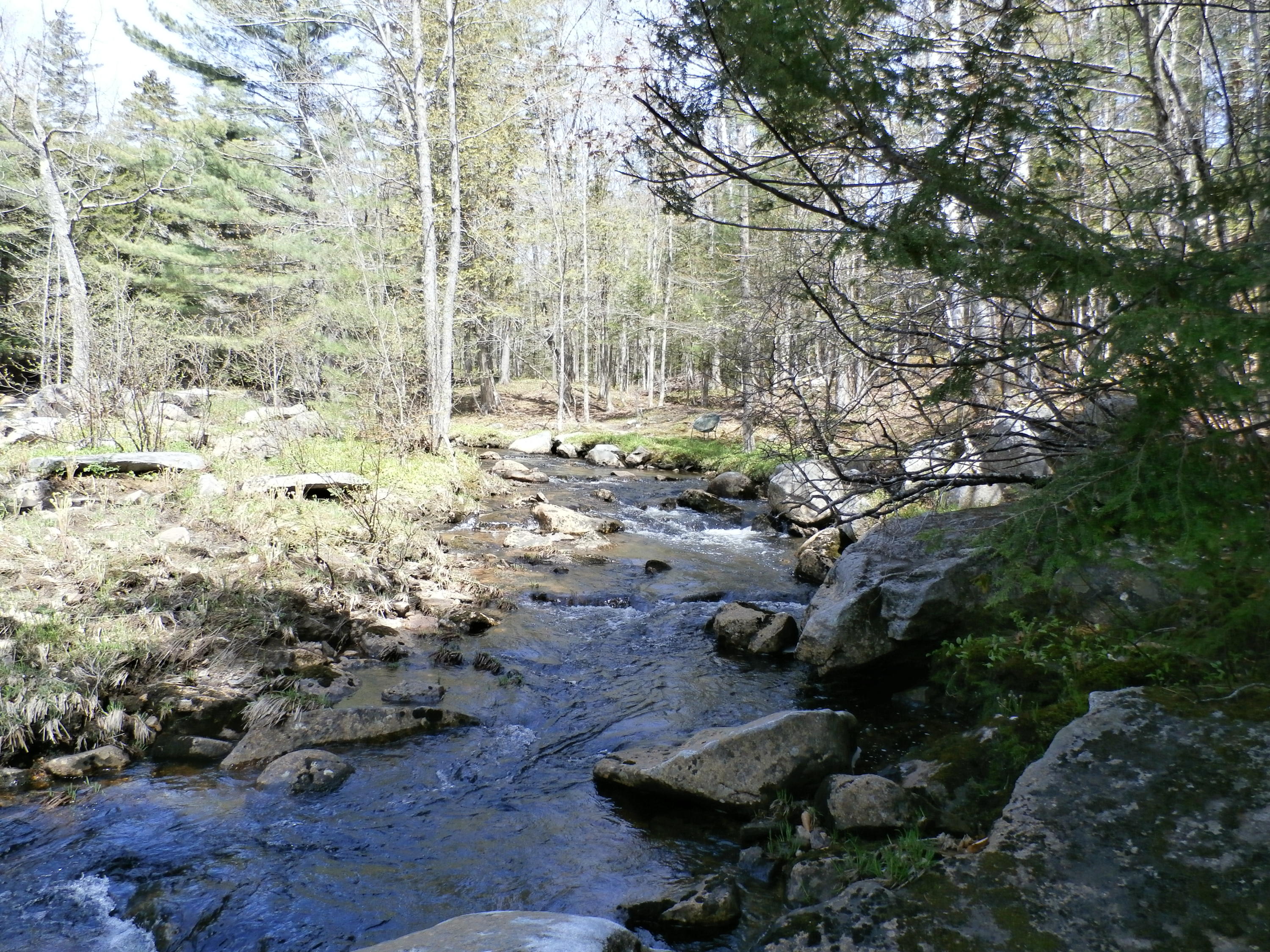 1021 South Arm Road Andover, ME 04216 - Photo 25 of 58 P5140864