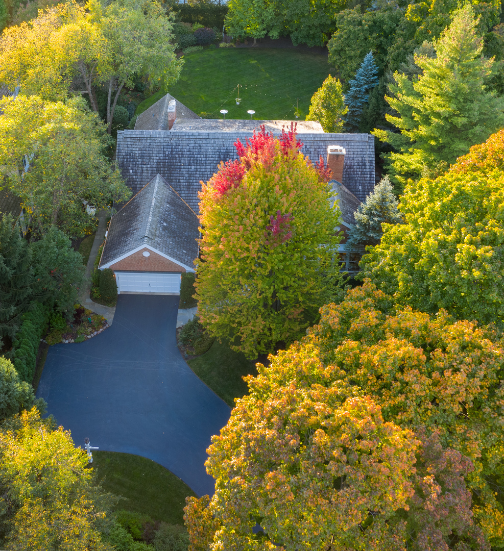 1115 Mohawk Road Wilmette, IL 60091 - Photo 55 of 66 a view of a garden with an outdoor space