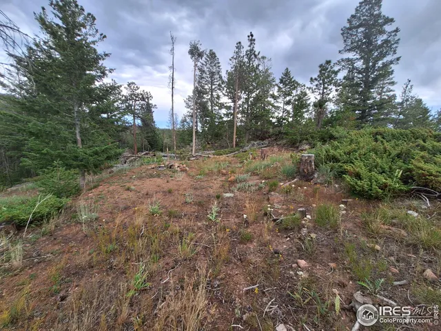 $49,900 | 204 Sutiki Drive, Red Feather Lakes, CO 80545