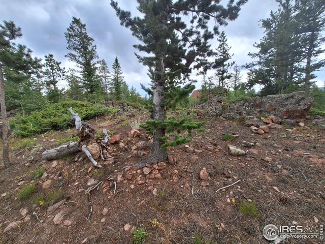 $49,900 | 204 Sutiki Drive, Red Feather Lakes, CO 80545