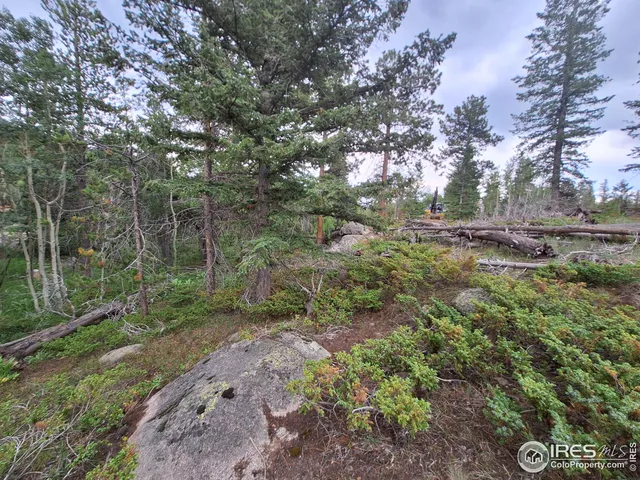 $49,900 | 204 Sutiki Drive, Red Feather Lakes, CO 80545