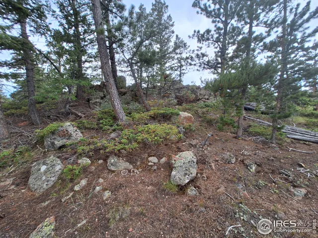 $49,900 | 204 Sutiki Drive, Red Feather Lakes, CO 80545