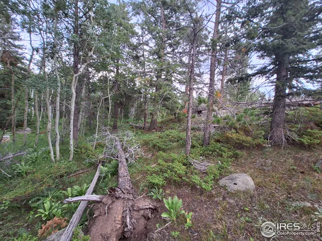 $49,900 | 204 Sutiki Drive, Red Feather Lakes, CO 80545