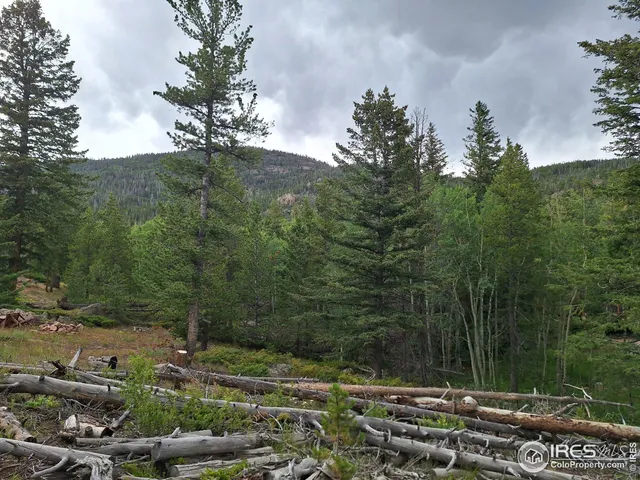 $49,900 | 204 Sutiki Drive, Red Feather Lakes, CO 80545