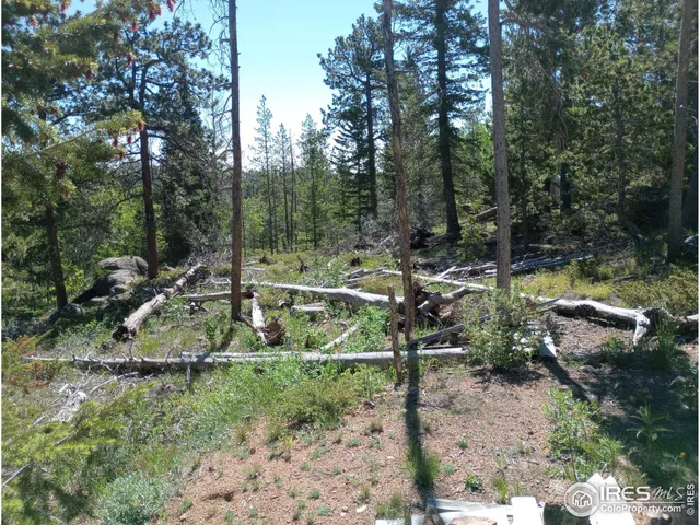 $49,900 | 204 Sutiki Drive, Red Feather Lakes, CO 80545