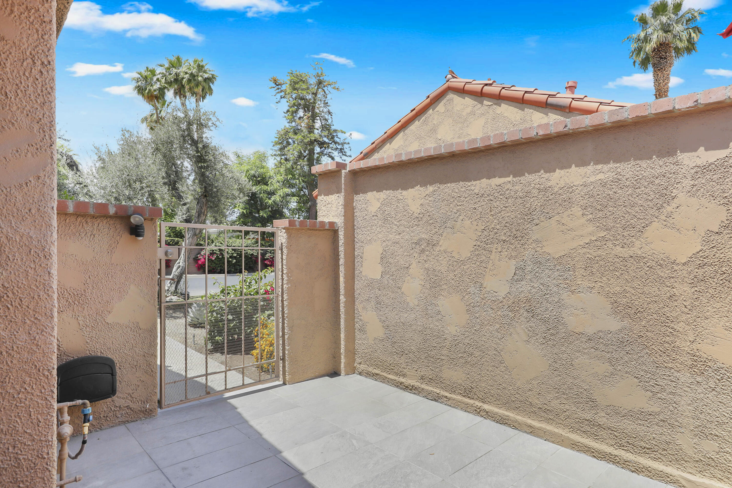 23 Haig Drive Rancho Mirage, CA 92270 - Photo 17 of 29 a view of backyard and tree