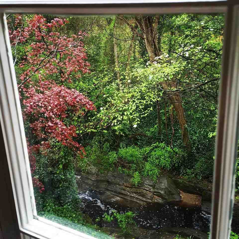 1209 Weldon Place Raleigh, NC 27608 - Photo 28 of 30 Photo 28
