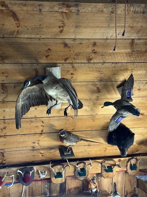 186 South South Arm Road Andover, ME 04216 - Photo 13 of 22 mounts