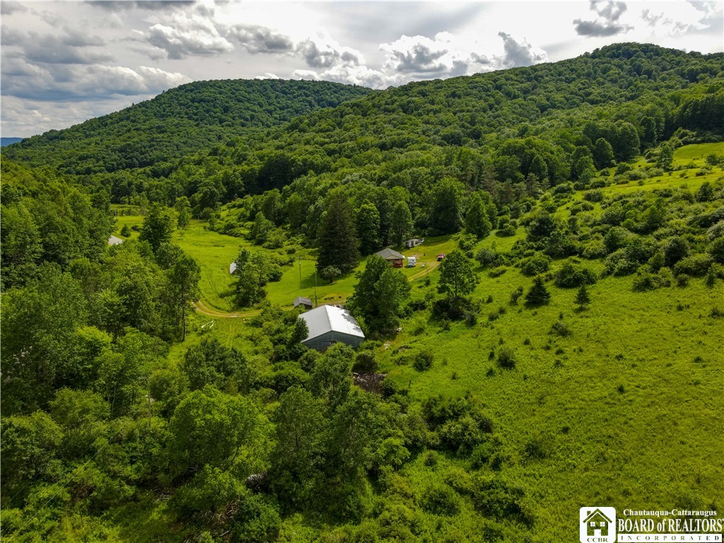 1605 Lillibridge Road Olean, NY 14760 - Photo 41 of 49