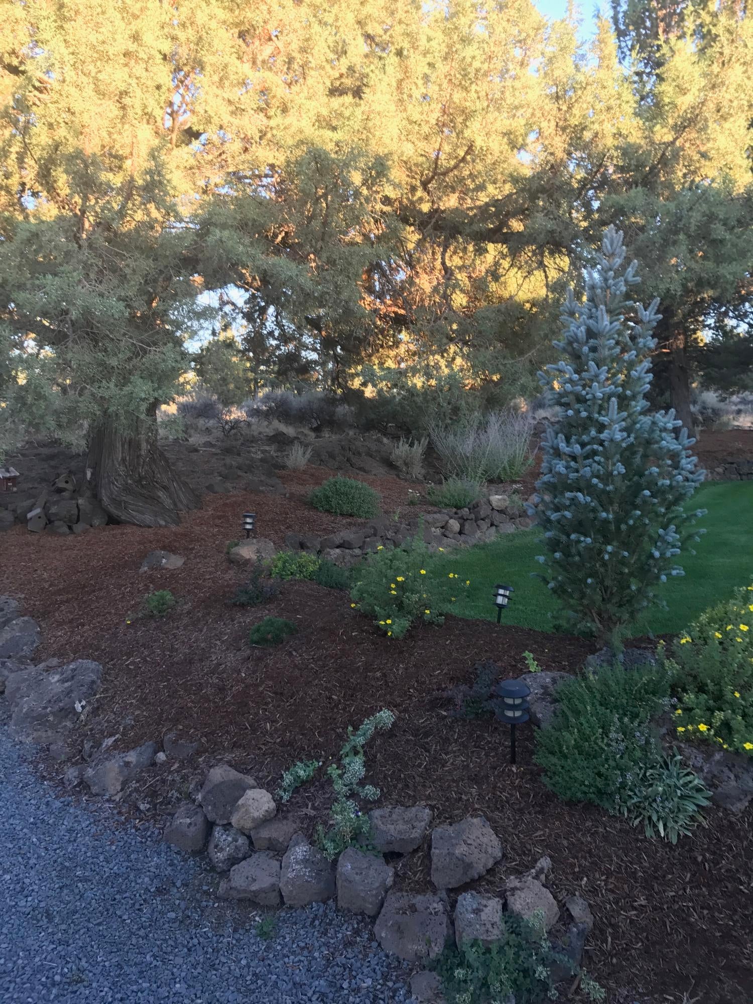 64281 Deschutes Market Road Bend, OR 97701 - Photo 31 of 43 Perennial Landscaping