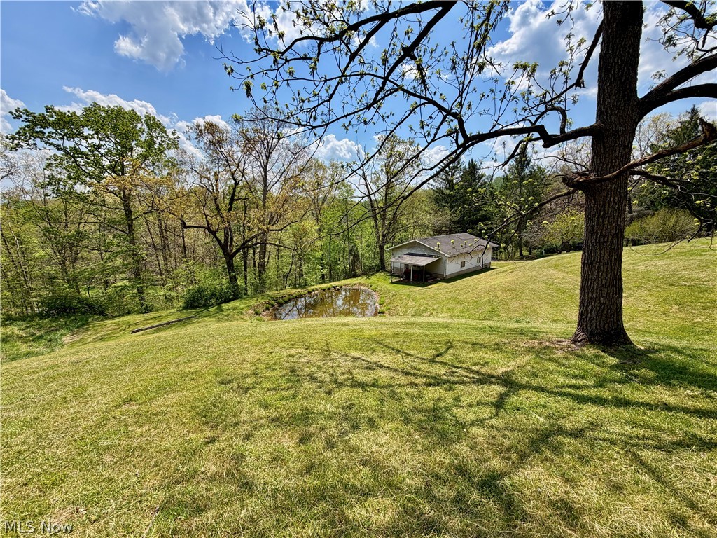 2163 Bull Run Road Waverly, WV 26184 - Photo 4 of 47