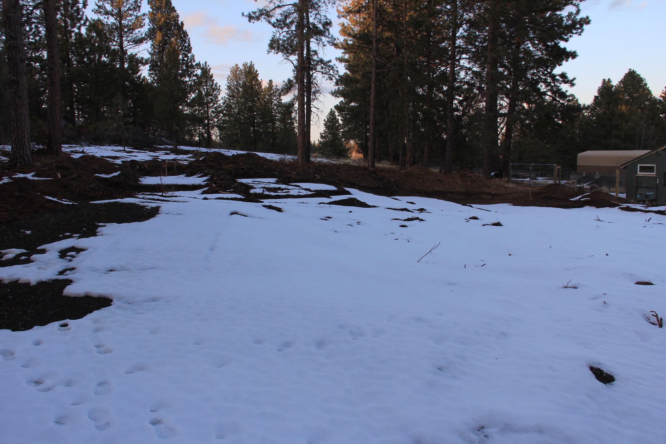19148 Pumice Butte Road Bend, OR 97702 - Photo 13 of 18 IMG-5106