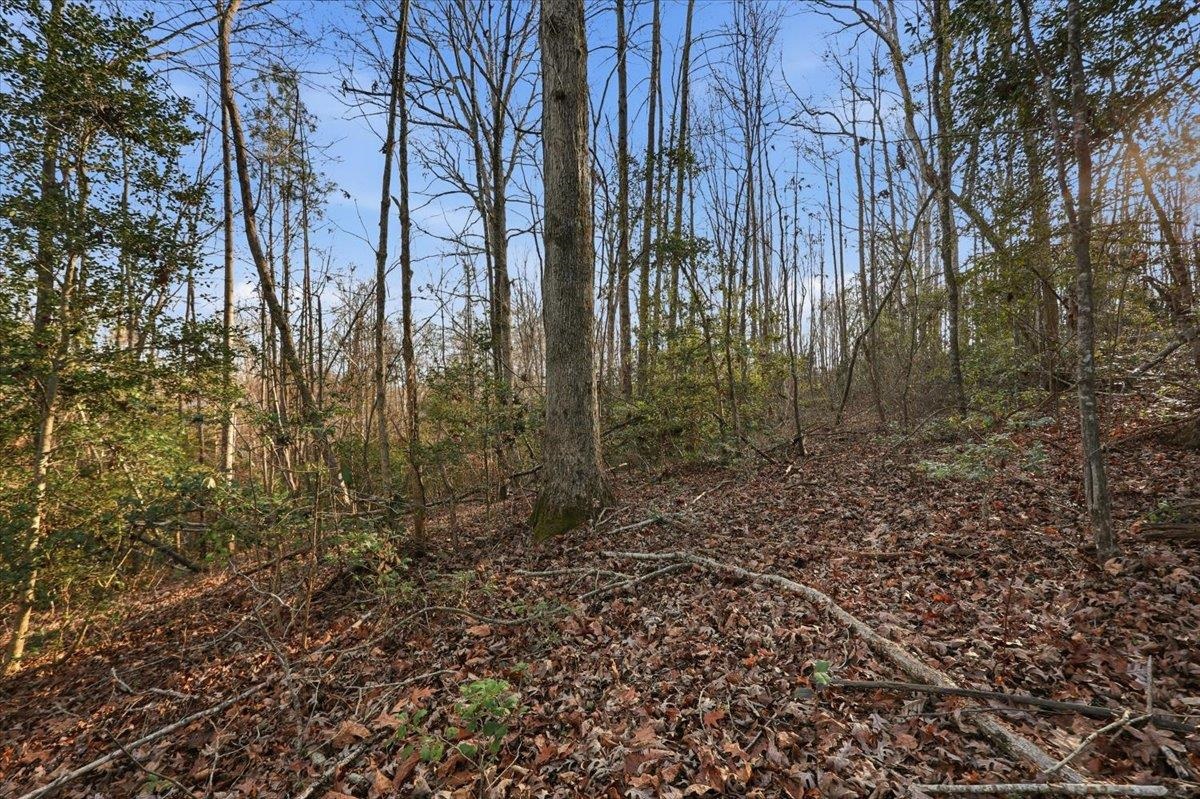 831 Neighborhood Road Wellford, SC 29385 - Photo 23 of 33