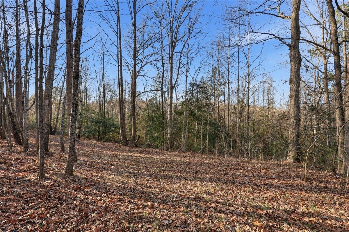 831 Neighborhood Road Wellford, SC 29385 - Photo 25 of 35