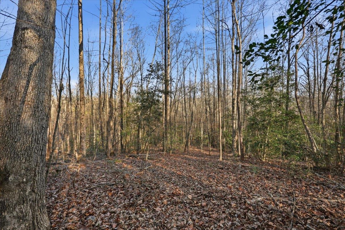 831 Neighborhood Road Wellford, SC 29385 - Photo 26 of 35