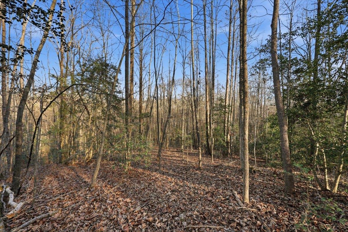 831 Neighborhood Road Wellford, SC 29385 - Photo 26 of 33