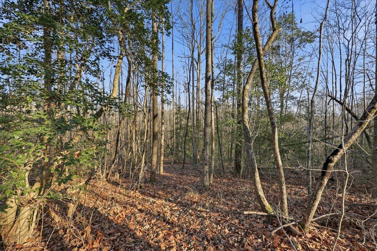 831 Neighborhood Road Wellford, SC 29385 - Photo 30 of 33