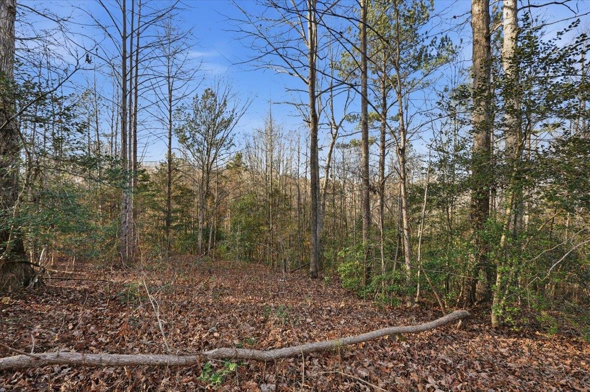 831 Neighborhood Road Wellford, SC 29385 - Photo 31 of 33