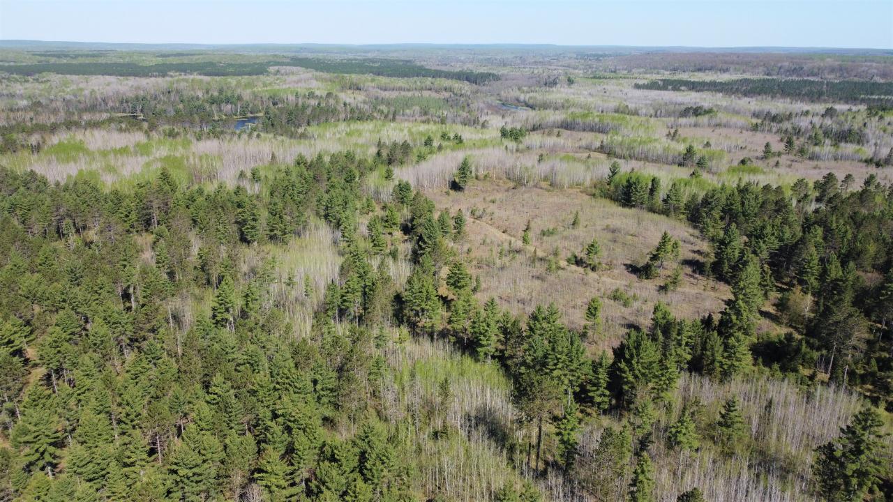 6710 Harding Road Florence, WI 54121 - Photo 19 of 90 Gallery Image 19