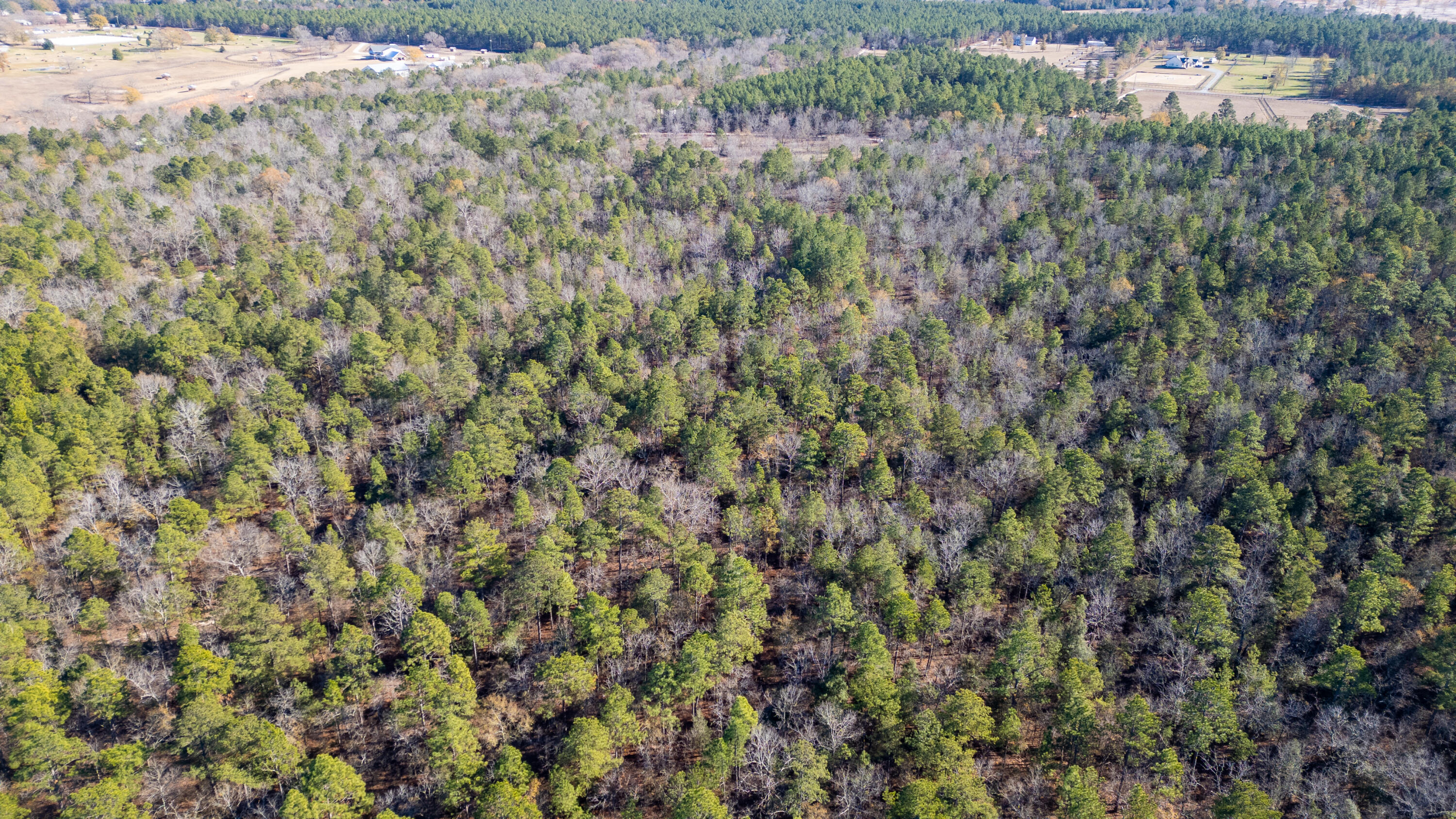1424 Hatchaway Bridge Road Aiken, SC 29801 - Photo 3 of 9 Gallery Image 3