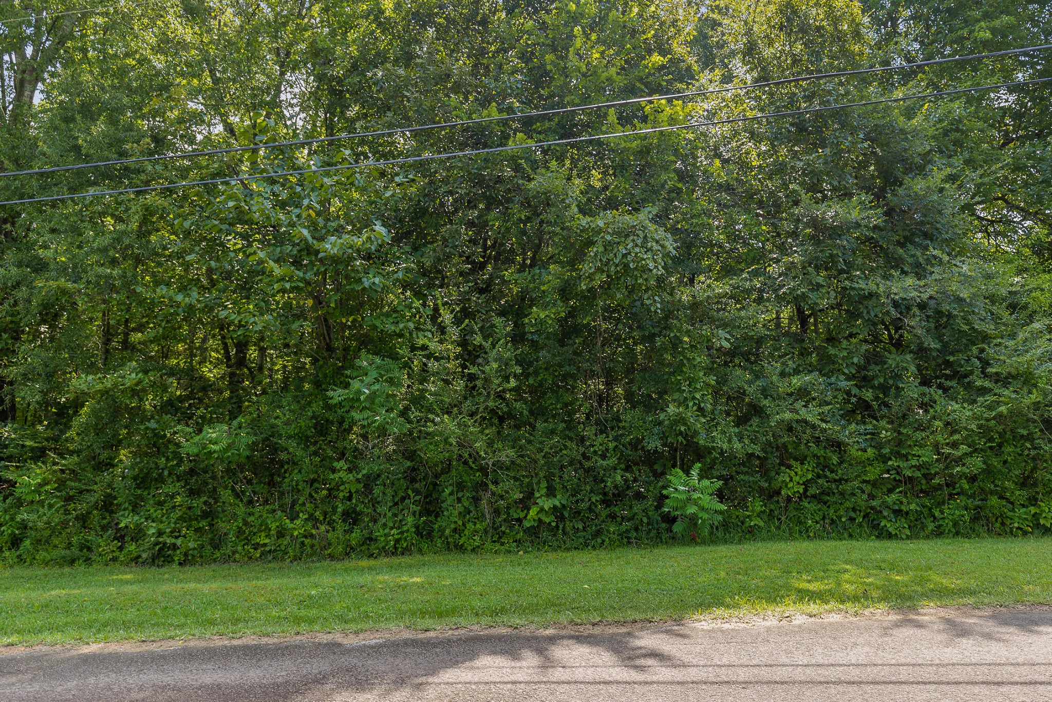 2 Worthington Gap Road Rock Spring, GA 30739 - Photo 3 of 15 Gallery Image 3