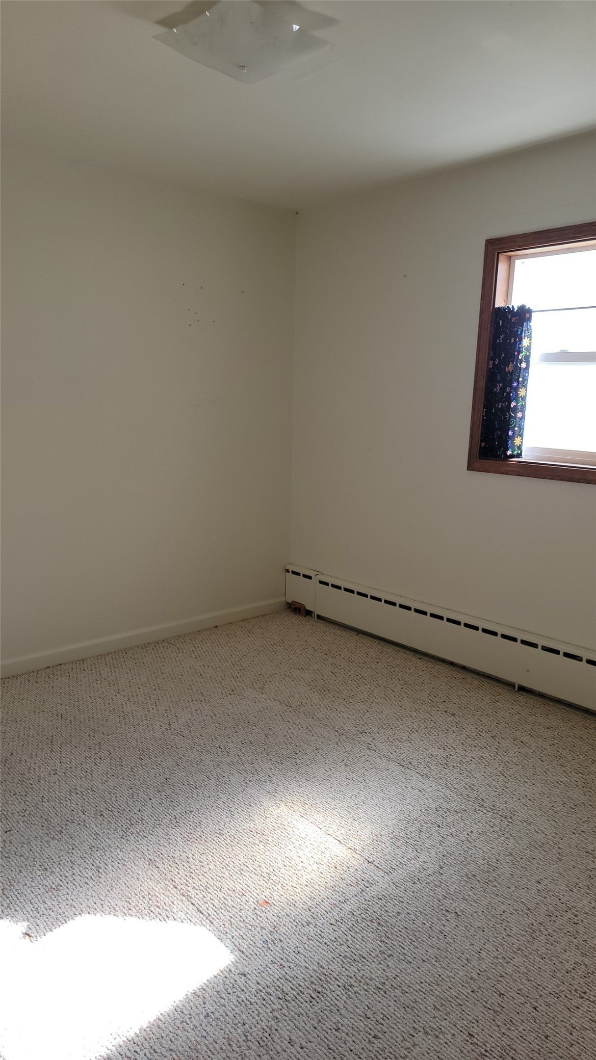 601 South Michigan Street Conrad, MT 59425 - Photo 11 of 12 Gallery Image 11