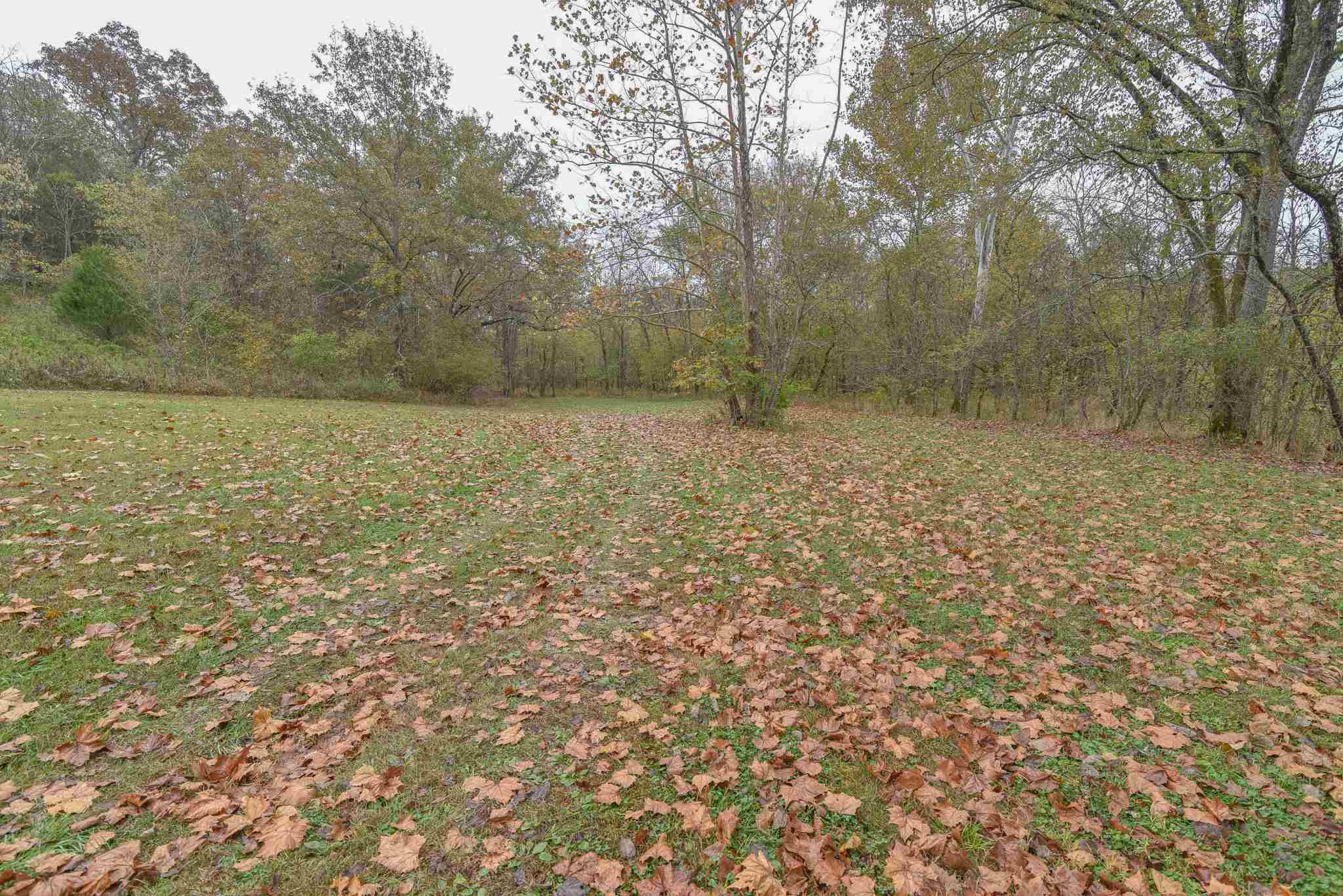 1325 Sipple Road Dry Ridge, KY 41035 - Photo 6 of 37