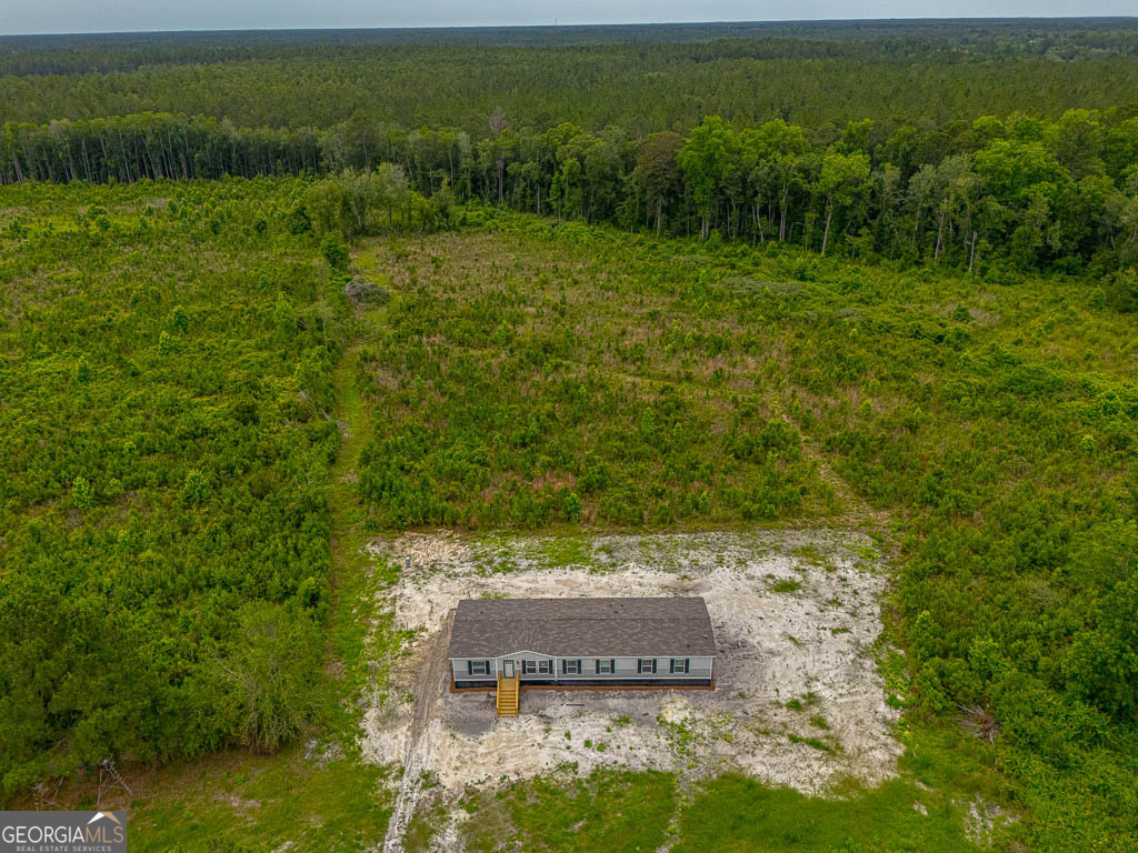 6401 Riverside Road, Unit TRACT 2 Nahunta, GA 31553 - Photo 41 of 42