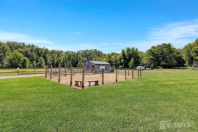 a view of a park with large trees