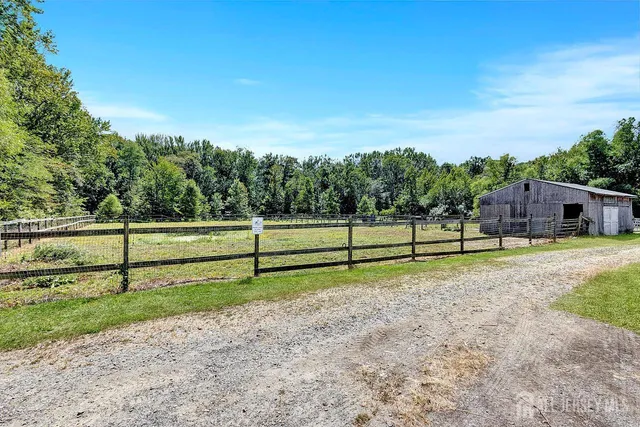 a view of park and trees