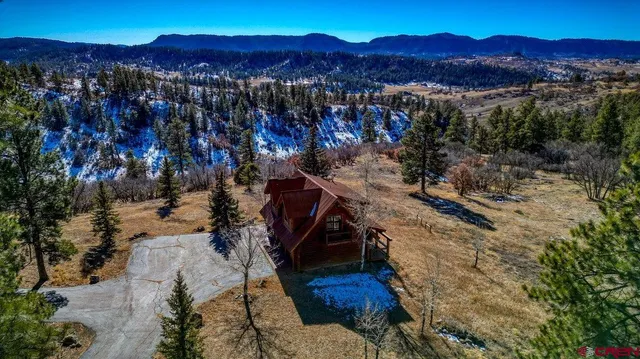 a view of a yard with plants