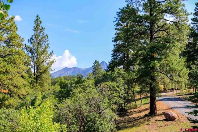 a view of a house with a tree