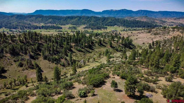 a view of a forest with mountains in the background