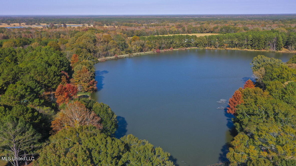 136 Trails End Flora Ms 39071 Flora, MS 39071 - Photo 51 of 55 AB4F5DF7-10B4-4FF5-AF73-75DF3D0E9AFA_1_1