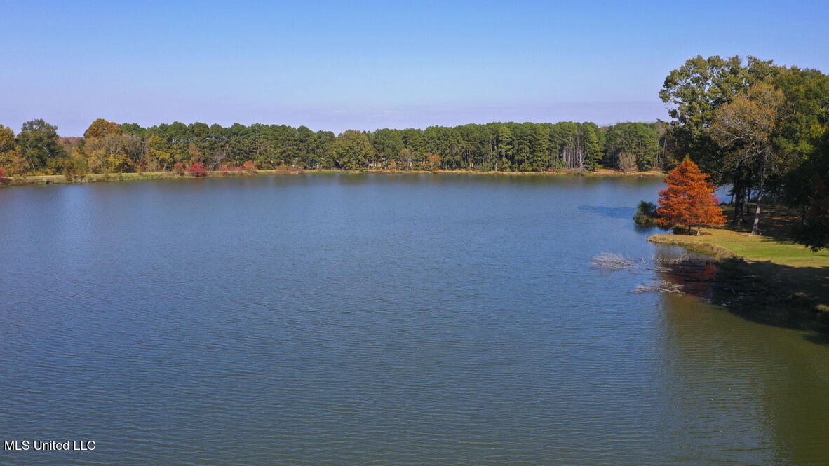 136 Trails End Flora Ms 39071 Flora, MS 39071 - Photo 55 of 55 B7A727E7-26BF-47E6-A37C-D987EFE968E3_1_1