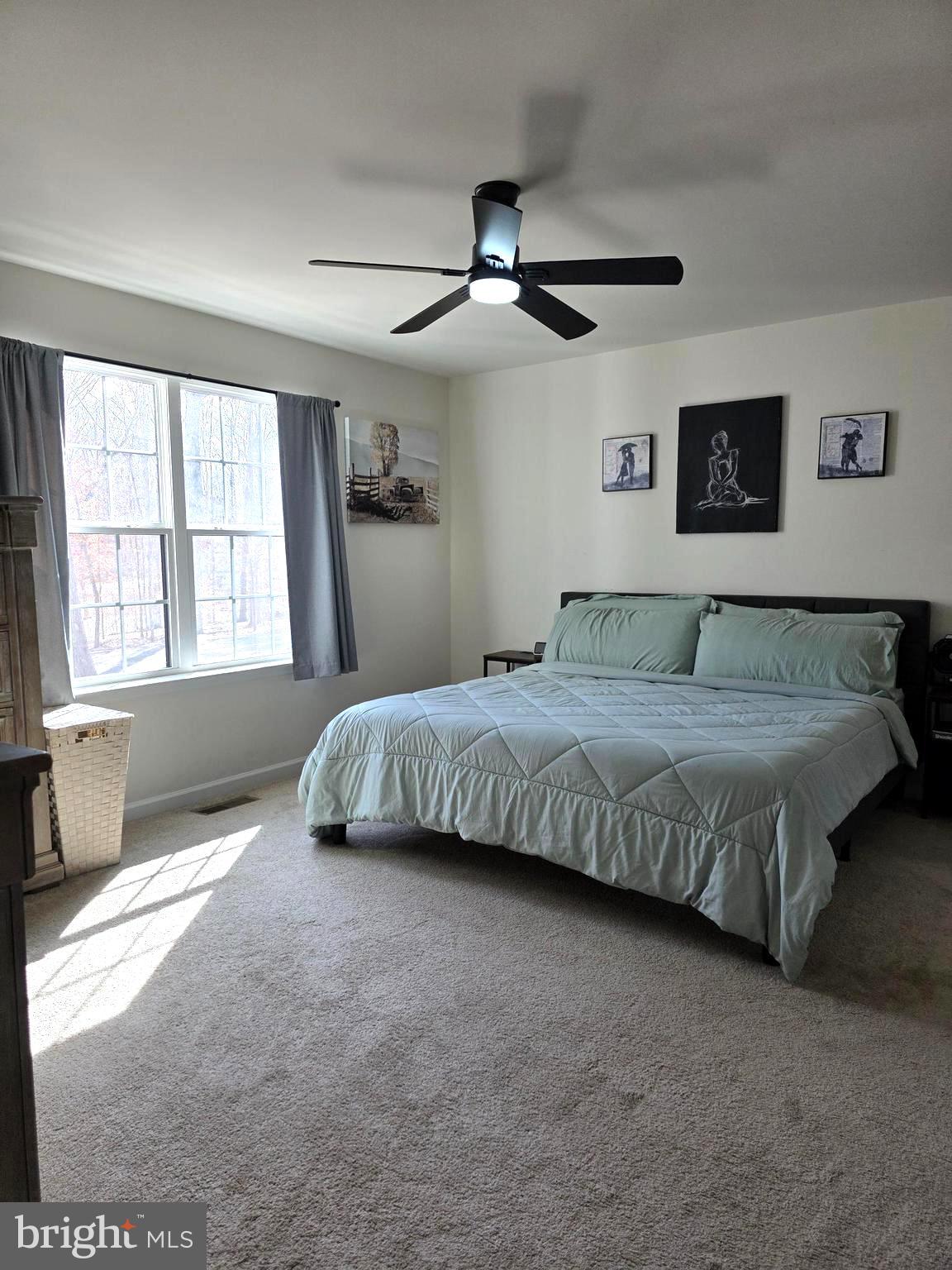 6014 Stubbs Bridge Road Mineral, VA 23117 - Photo 24 of 53 Master Suite