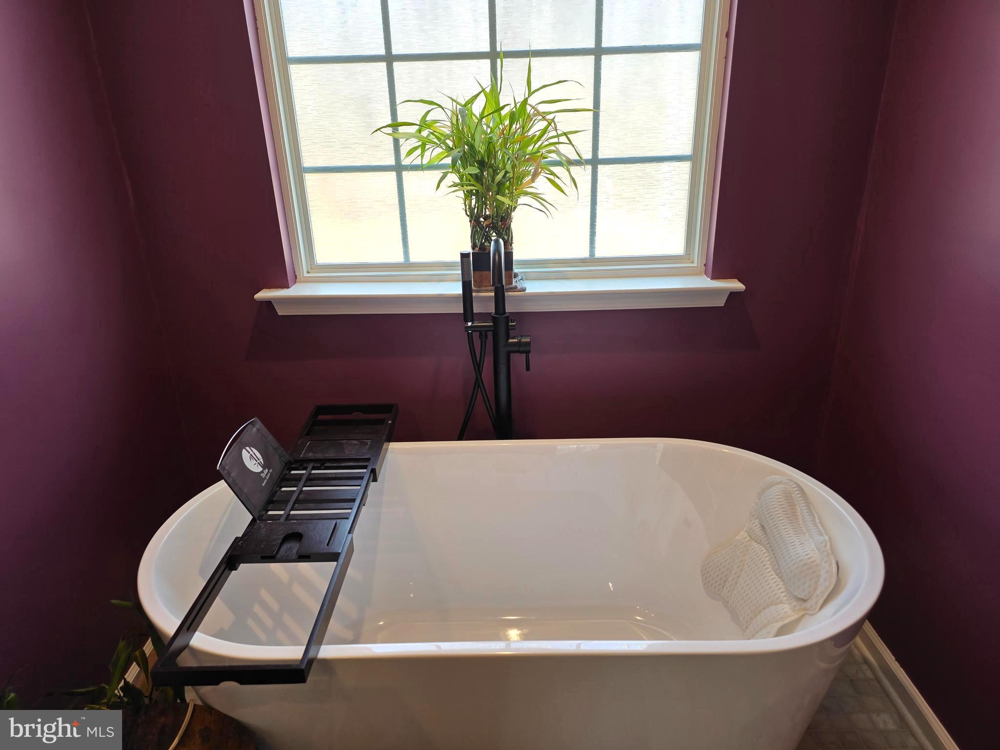 6014 Stubbs Bridge Road Mineral, VA 23117 - Photo 28 of 53 Master Spa