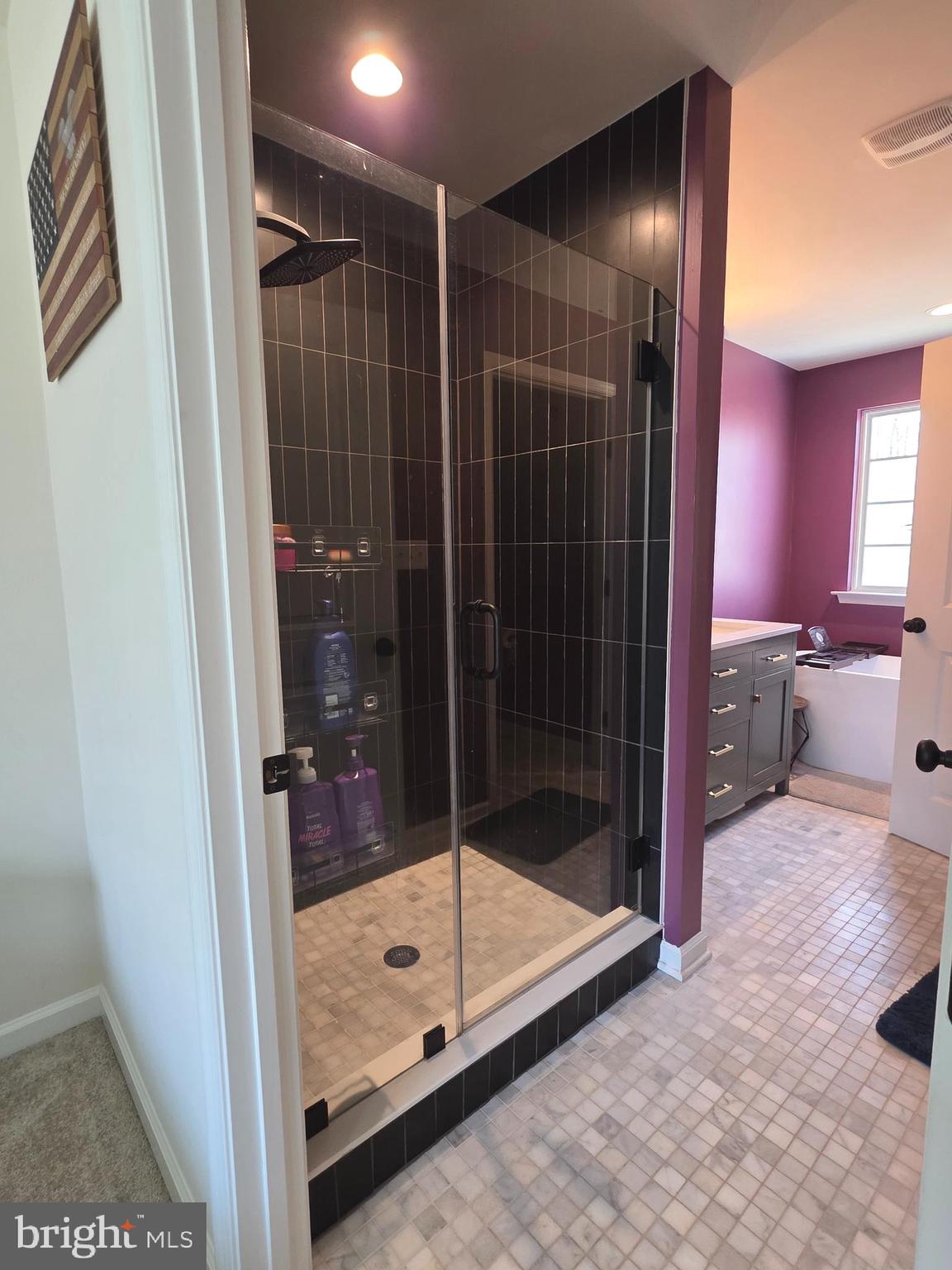 6014 Stubbs Bridge Road Mineral, VA 23117 - Photo 30 of 53 Master Shower